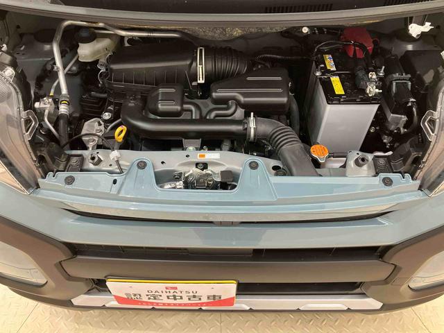 タント ファンクロス（18枚目）