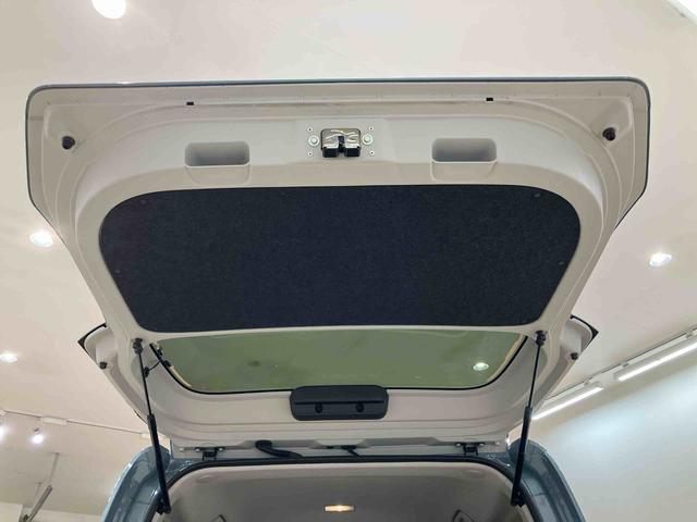 タント ファンクロス（31枚目）