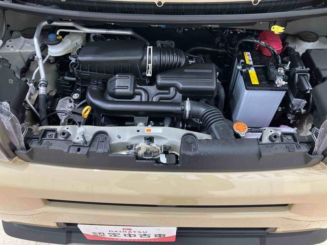 タフト Ｘ（18枚目）