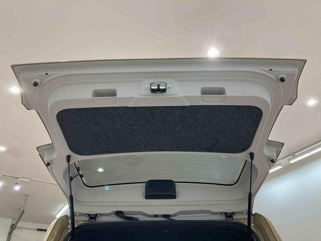 タフト Ｘ（31枚目）