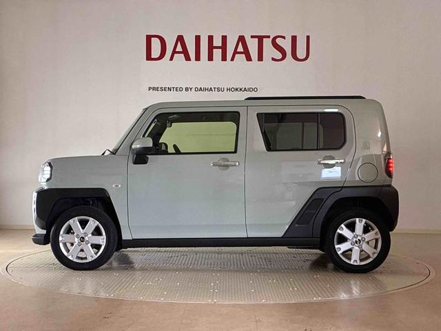 タフト G クロムベンチャー(39枚目)