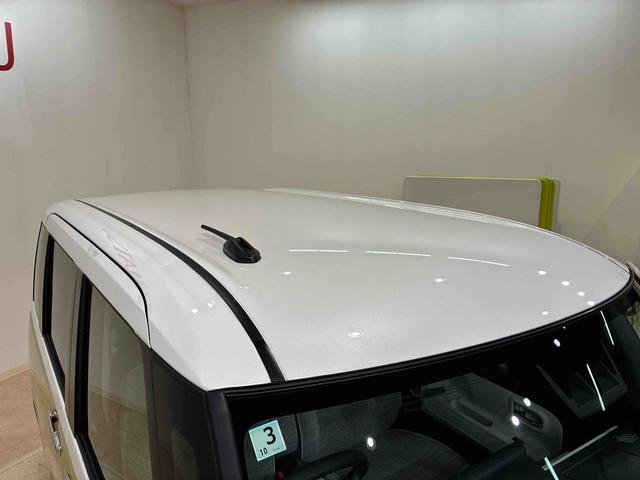 ムーヴキャンバス ストライプスＧ（23枚目）