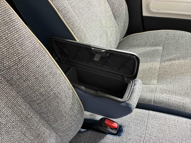 ムーヴキャンバス ストライプスＧ（30枚目）