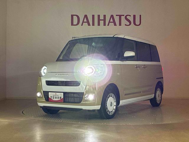 ムーヴキャンバス ストライプスＧ（40枚目）