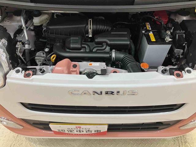 ムーヴキャンバス ストライプスＧ（18枚目）