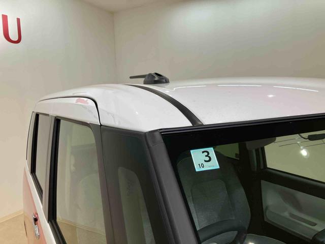 ムーヴキャンバス ストライプスＧ（23枚目）