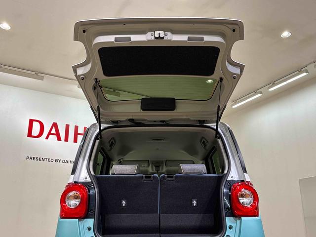 ムーヴキャンバス ストライプスＧ（31枚目）