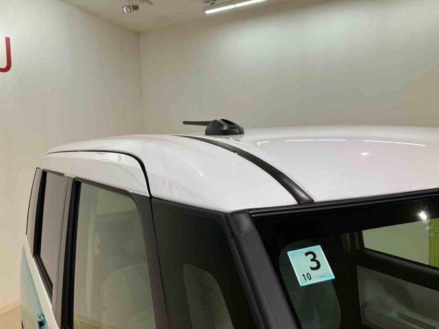 ムーヴキャンバス ストライプスＧ（23枚目）