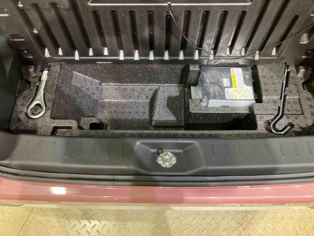 ムーヴキャンバス Ｇメイクアップリミテッド　ＳＡＩＩＩ（17枚目）