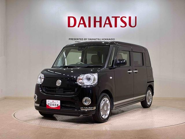 ムーヴキャンバス Ｇメイクアップリミテッド　ＳＡＩＩＩ（21枚目）