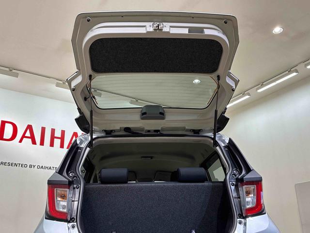 ミライース X リミテッドSAIII(31枚目)