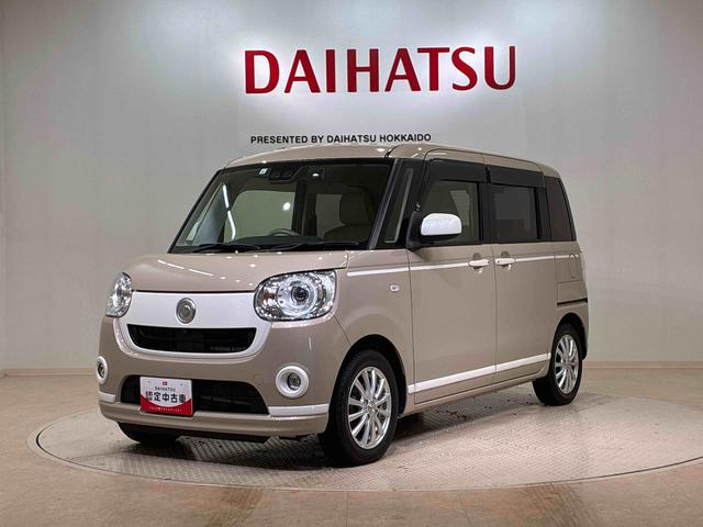 ムーヴキャンバス Ｇホワイトアクセントリミテッド　ＳＡＩＩＩ（21枚目）