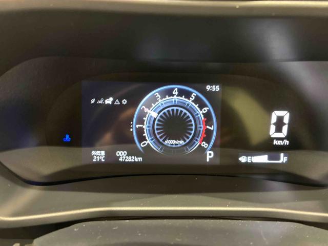 ロッキー Ｇ（8枚目）