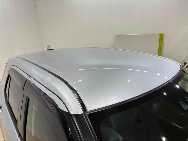 ロッキー Ｇ（23枚目）