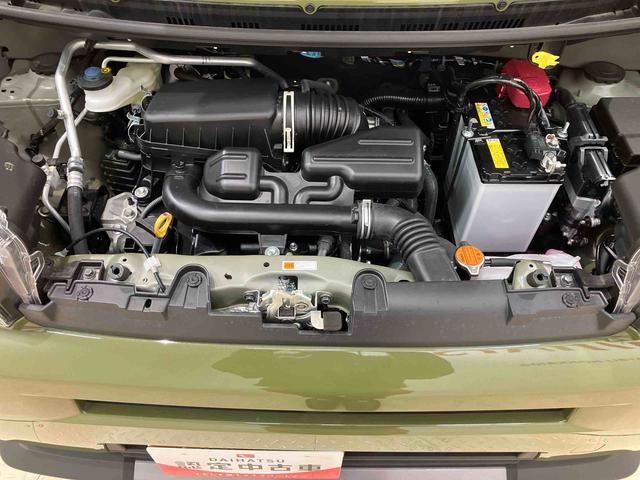 タフト Ｇ　ダーククロムベンチャー（18枚目）