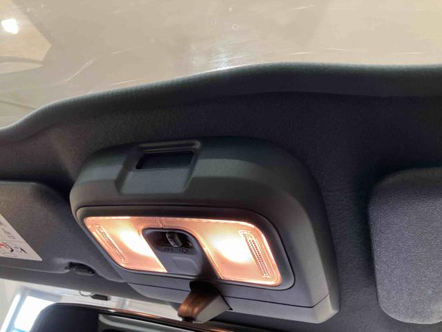 タフト Ｇ　ダーククロムベンチャー（28枚目）