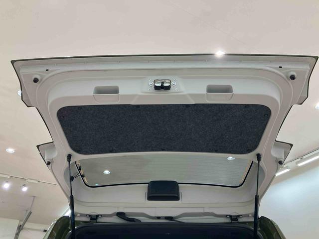 タフト Ｇ　ダーククロムベンチャー（31枚目）