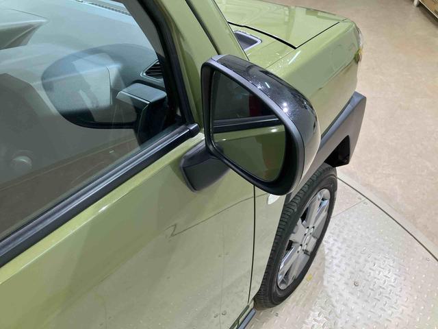 タフト Ｇ　ダーククロムベンチャー（34枚目）