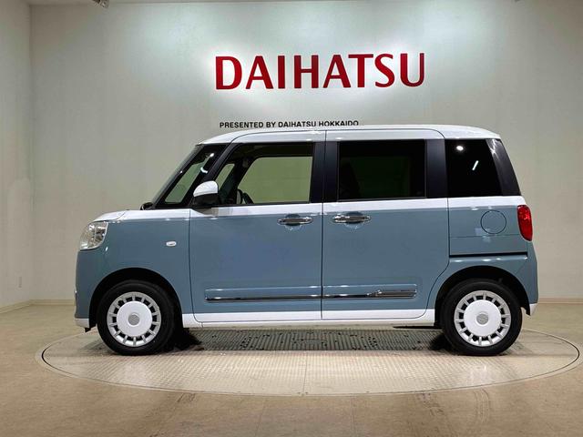 ムーヴキャンバス ストライプスG(12枚目)