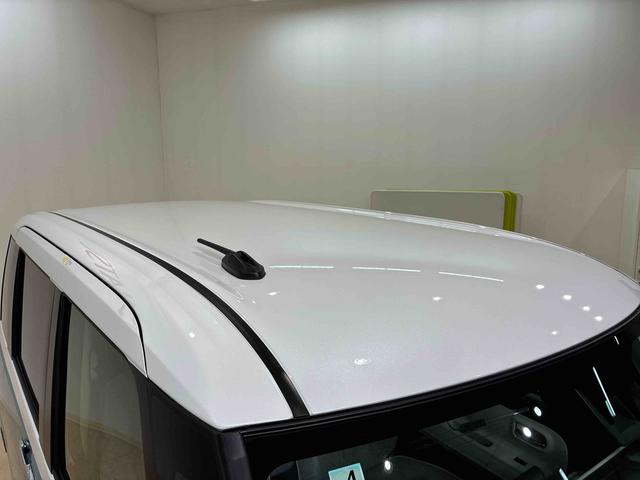 ムーヴキャンバス ストライプスG(23枚目)