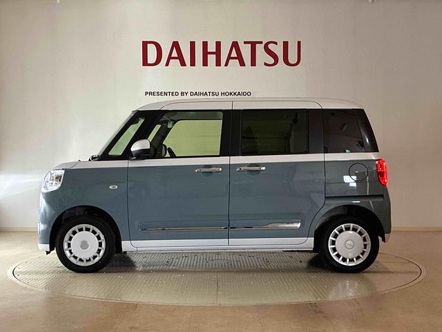 ムーヴキャンバス ストライプスG(39枚目)