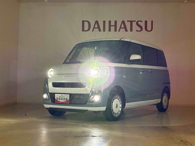 ムーヴキャンバス ストライプスG(40枚目)