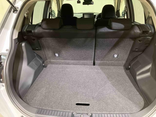 ロッキー Ｘ（16枚目）