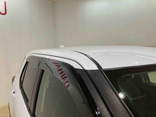 ロッキー Ｘ（23枚目）