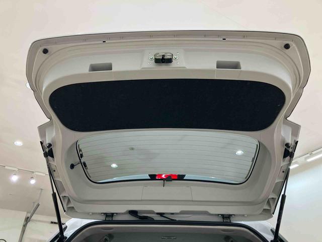 ロッキー Ｘ（31枚目）