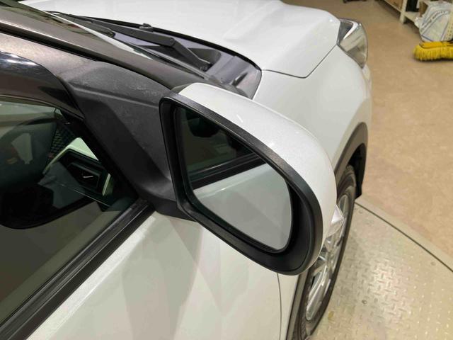 ロッキー Ｘ（34枚目）