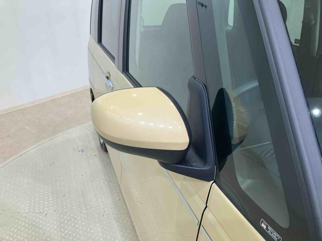 ムーヴキャンバス セオリーX(22枚目)