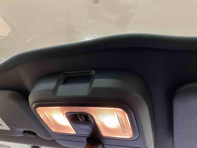 タフト Ｇ　ダーククロムベンチャー（28枚目）