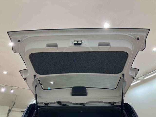 タフト Ｇ　ダーククロムベンチャー（31枚目）