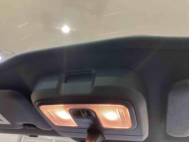 タフト Ｇ　クロムベンチャー（28枚目）