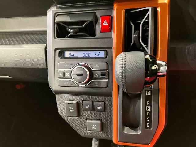 タフト Ｇ（10枚目）