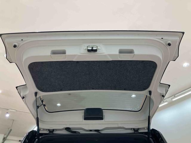 タフト Ｇ（31枚目）