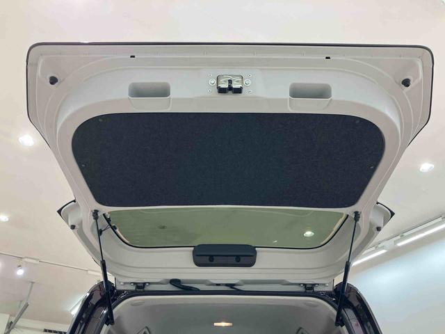 タント Ｘ（31枚目）