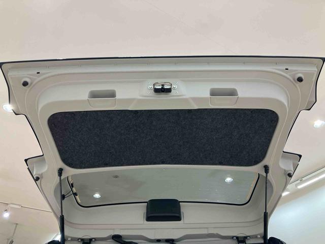 タフト Ｇ（31枚目）