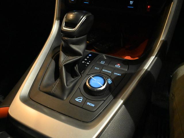 ＲＡＶ４ アドベンチャー　ＢＦグッドリッジタイヤ　デルタフォース１７インチアルミ　社外グリル　ライノラック　フラットラック　ディスプレィオーディオ（27枚目）