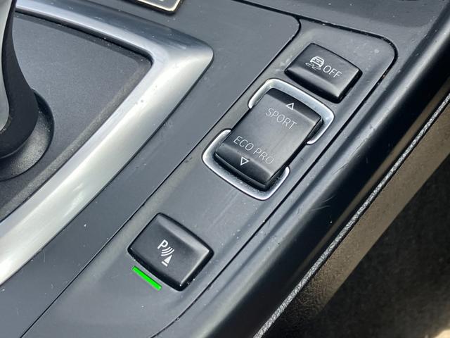 １シリーズ １１８ｄ　Ｍスポーツ　エディションシャドー仕様　ハーマンカードン　バックカメラ　１９インチアルミ　車高調　純正ナビ　ミラー内蔵ＥＴＣ　ドラレコ　パドルシフト　クルーズコントロール　ソナー　キーレス　車検Ｒ８年４月（36枚目）