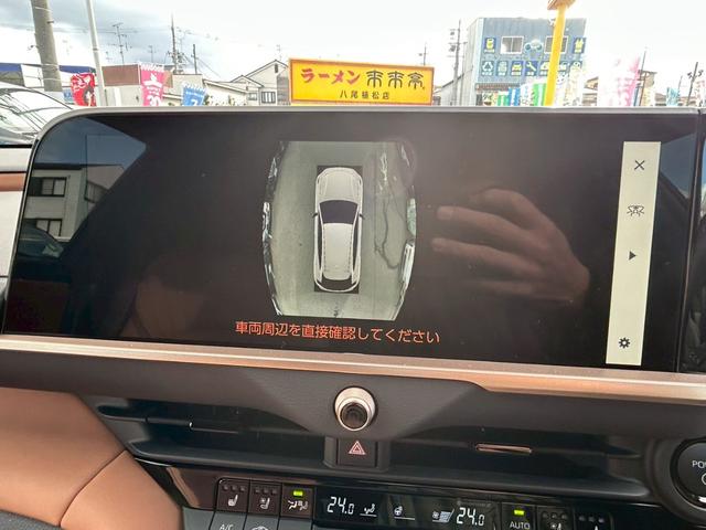 ���p�m���~�b�N�r���[���j�^�[��