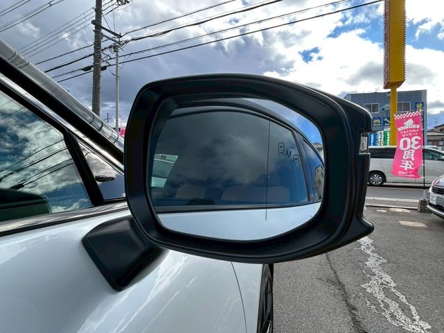 ���u���C���h�X�|�b�g���j�^�[��