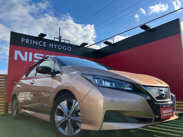 リーフ アーバンクロム　純正メーカーナビ　純正前後ドライブレコーダー　プロパイロット　アラウンドビューモニター　シートヒーター　ＥＴＣ２．０　クリアランスソナー（36枚目）