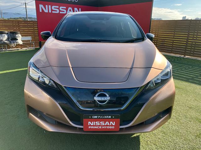 リーフ アーバンクロム　純正メーカーナビ　純正前後ドライブレコーダー　プロパイロット　アラウンドビューモニター　シートヒーター　ＥＴＣ２．０　クリアランスソナー（48枚目）