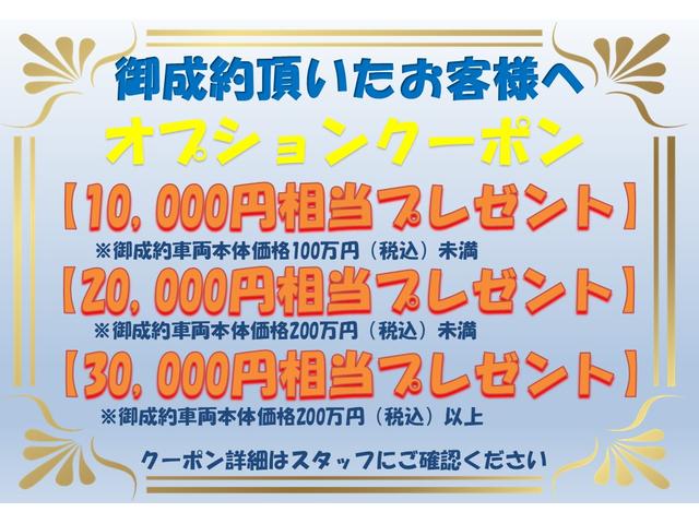 G ヴィオラ 特別仕様車 クルコン メーカーナビ BT(2枚目)