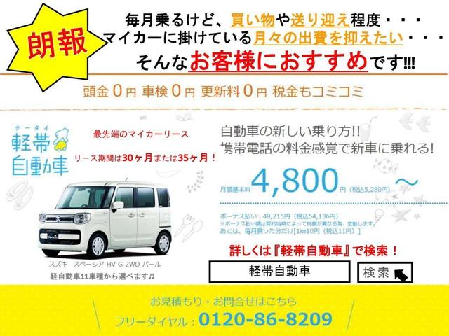 G ヴィオラ 特別仕様車 クルコン メーカーナビ BT(28枚目)