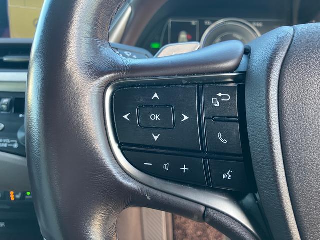 ＥＳ ＥＳ３００ｈ　バージョンＬ　マークレビンソン　★オプション装備車★デジタルインナーミラー★マークレビンソンプレミアムサラウンドサウンドシステム★オプション有り★メーカー１２．３インチワイドディスプレイ（38枚目）