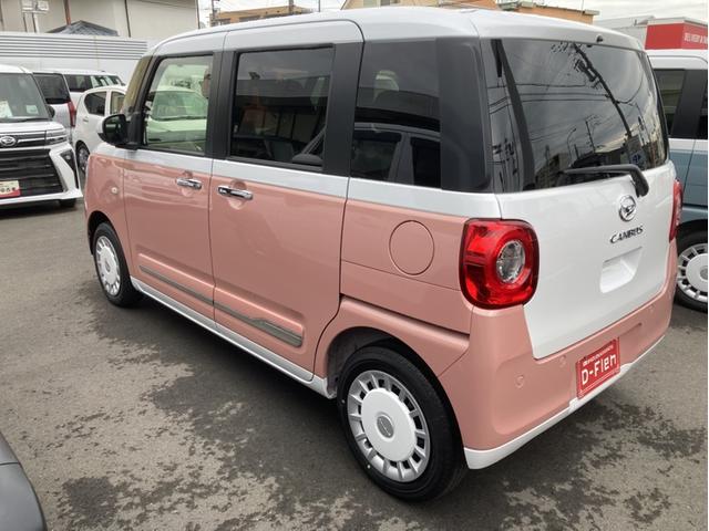 ムーヴキャンバス ストライプスＧ（3枚目）