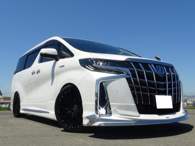 フルエアロ後期フェイス カールソン21インチ車高調後席モニタ(2枚目)