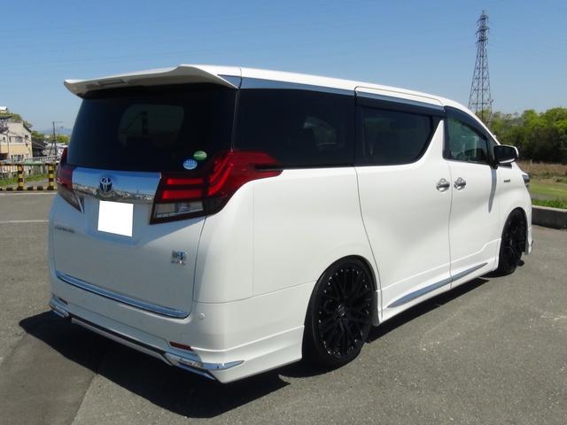 フルエアロ後期フェイス カールソン21インチ車高調後席モニタ(7枚目)